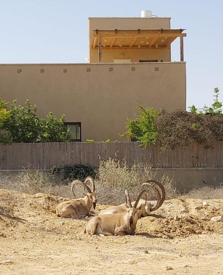 Midreshet Ben Gurion צמח בר 아파트 외부 사진